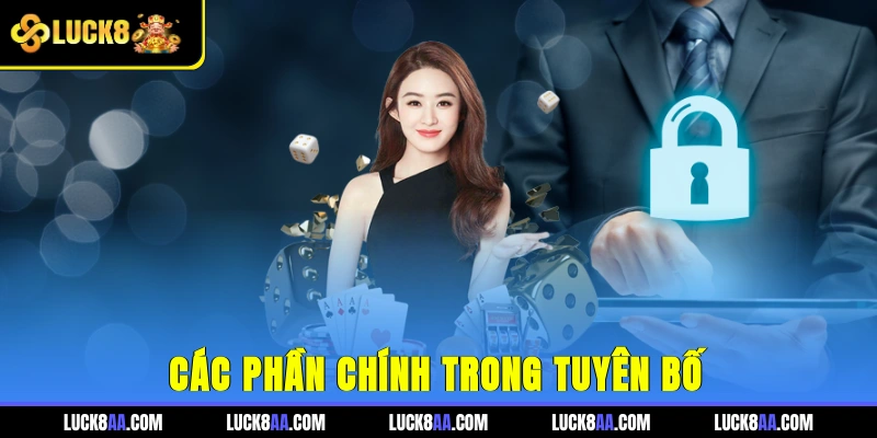 Các phần chính trong tuyên bố